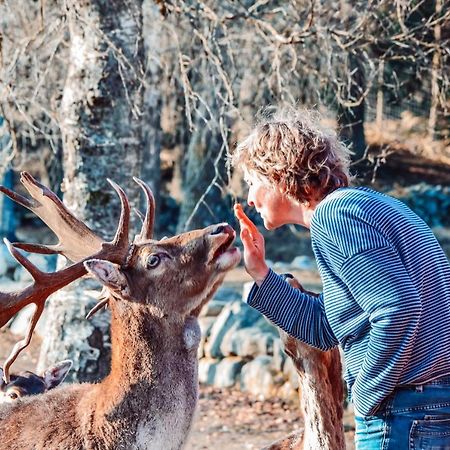 Damwildfarm In Rollerbue Suedschweden Villa Tyringe ภายนอก รูปภาพ