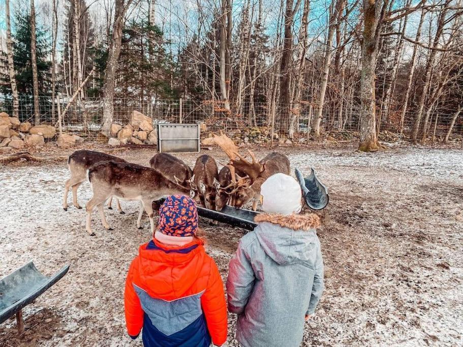 Damwildfarm In Rollerbue Suedschweden Villa Tyringe ภายนอก รูปภาพ