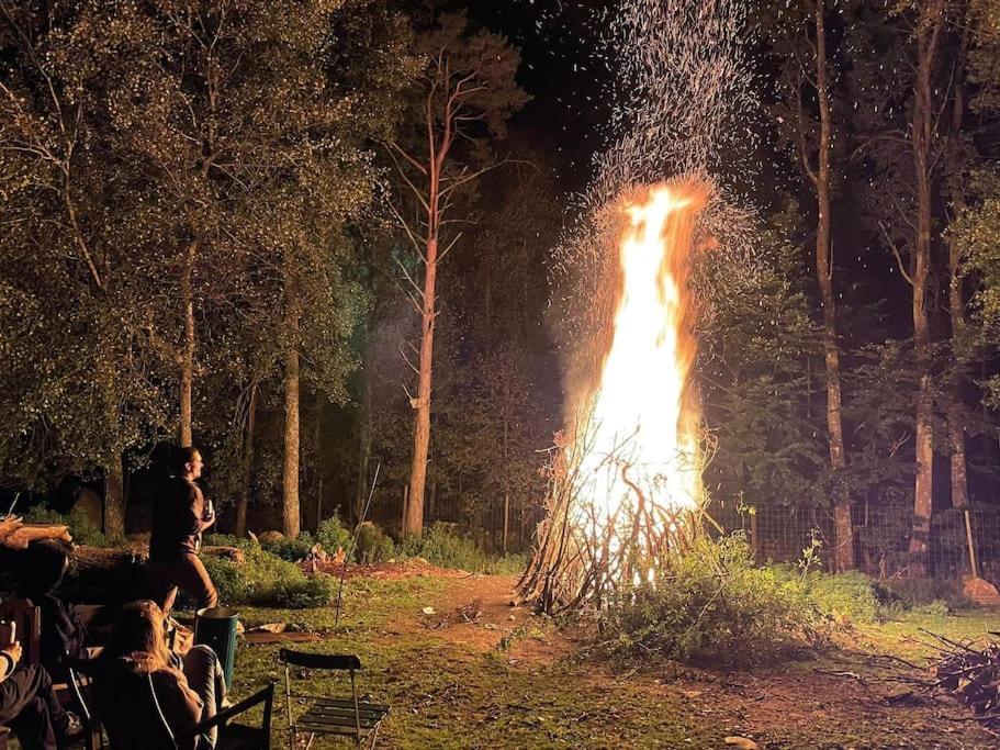 Damwildfarm In Rollerbue Suedschweden Villa Tyringe ภายนอก รูปภาพ