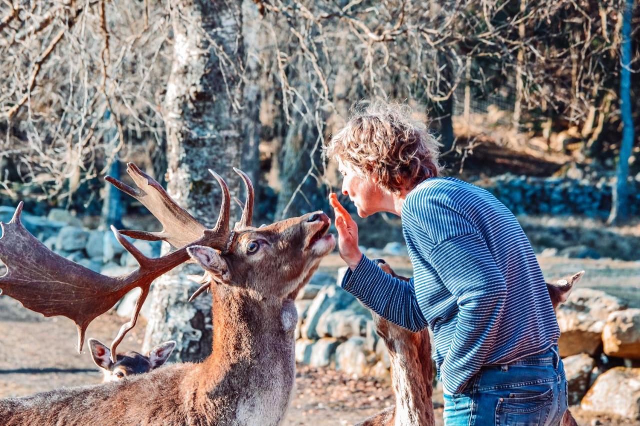Damwildfarm In Rollerbue Suedschweden Villa Tyringe ภายนอก รูปภาพ