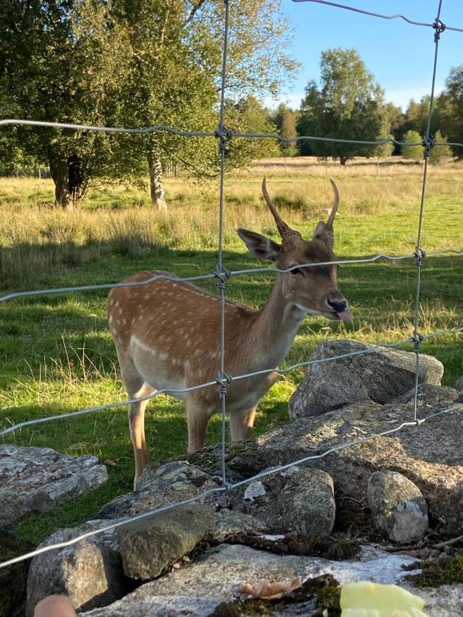 Damwildfarm In Rollerbue Suedschweden Villa Tyringe ภายนอก รูปภาพ