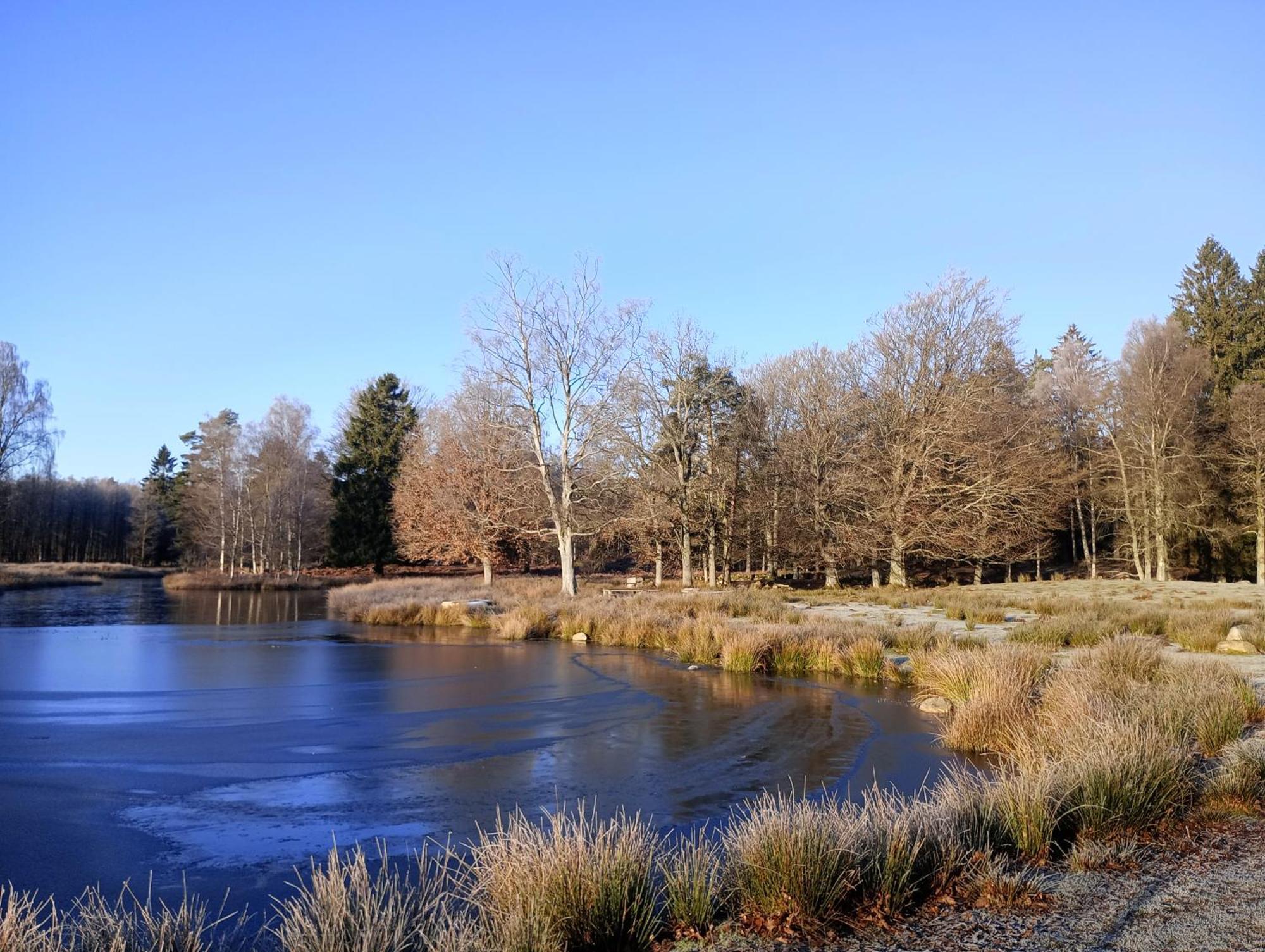Damwildfarm In Rollerbue Suedschweden Villa Tyringe ภายนอก รูปภาพ
